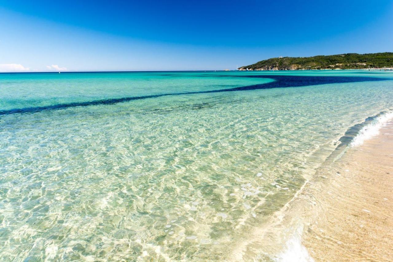 Le Terra-Cota 3 Ch Privees 10' Gare-Port Et Plage, Wfi, Cosy تولون المظهر الخارجي الصورة